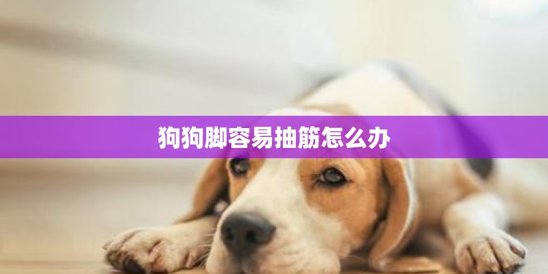 狗狗脚容易抽筋怎么办 狗狗脚容易抽筋怎么办