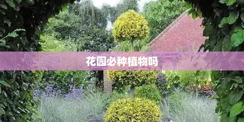 花园必种植物吗