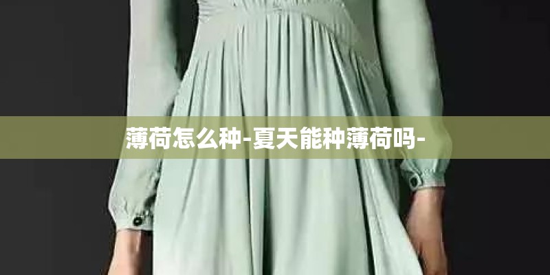 薄荷怎么种-夏天能种薄荷吗-