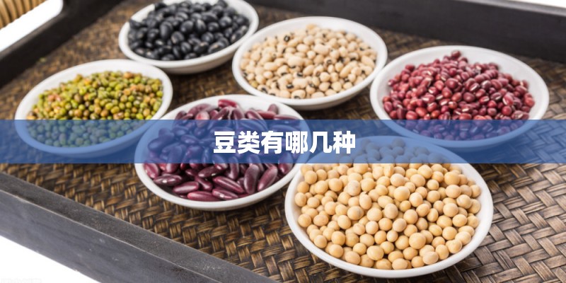 豆类有哪几种