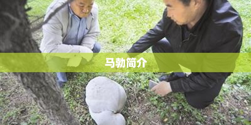 马勃简介