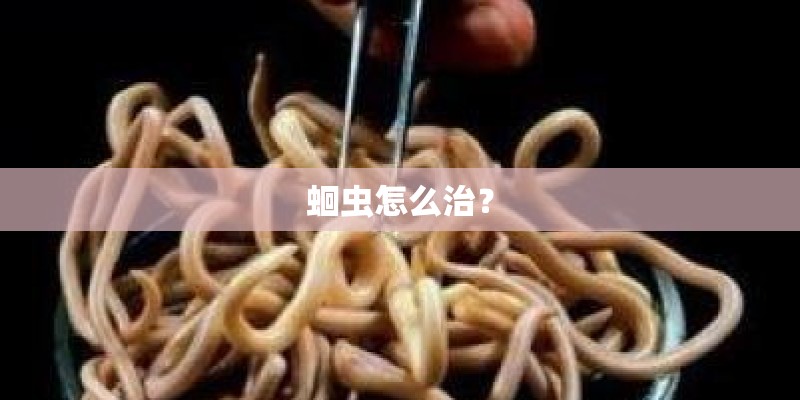 蛔虫怎么治？