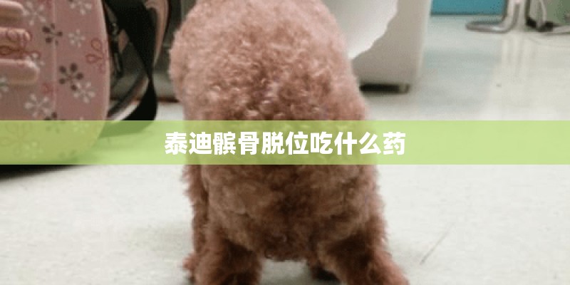 泰迪髌骨脱位吃什么药
