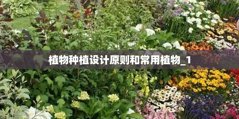 植物种植设计原则和常用植物_1