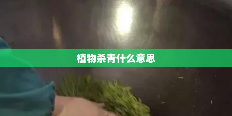 植物杀青什么意思