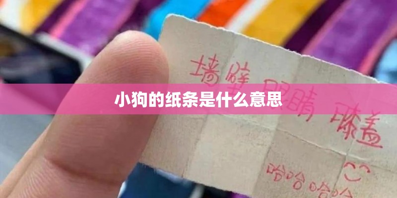 小狗的纸条是什么意思