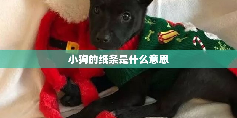 小狗的纸条是什么意思