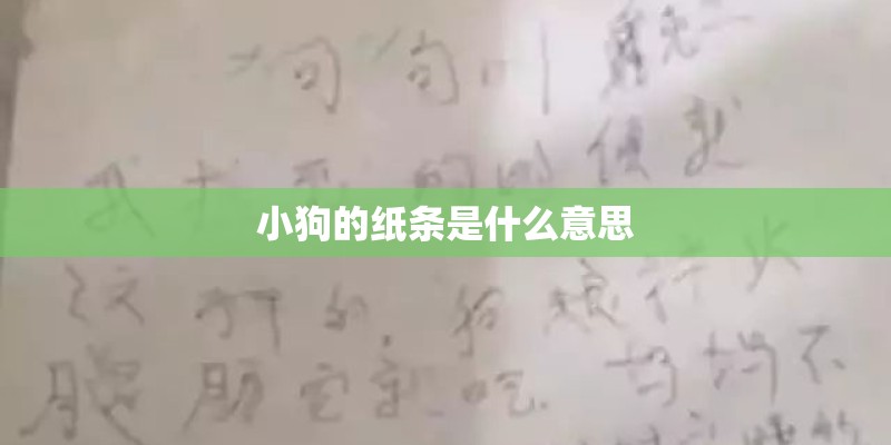 小狗的纸条是什么意思
