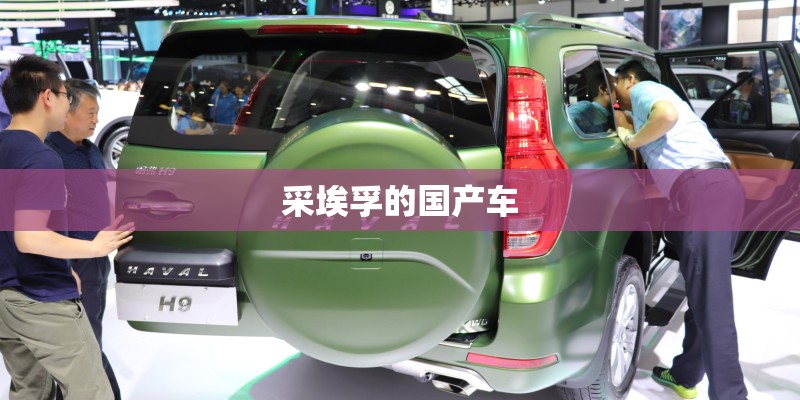 采埃孚的国产车