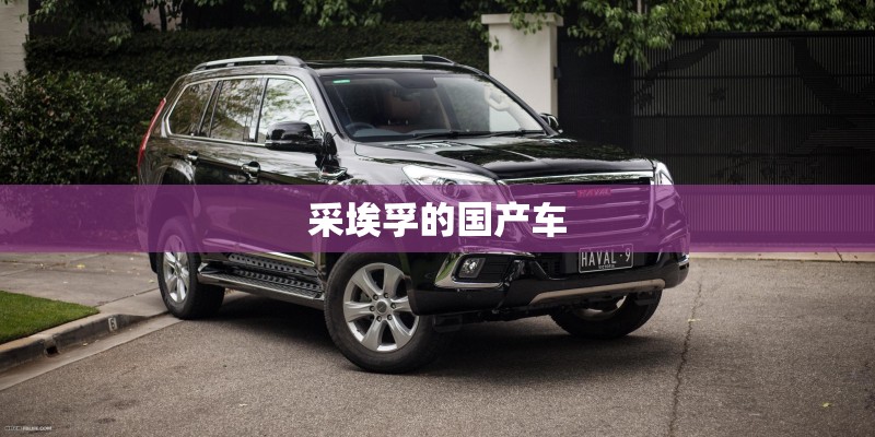采埃孚的国产车