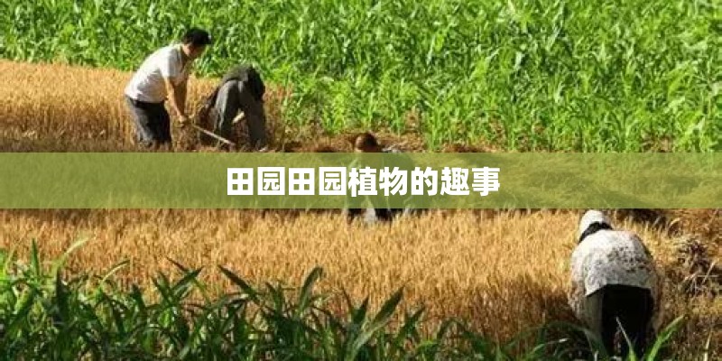 田园田园植物的趣事
