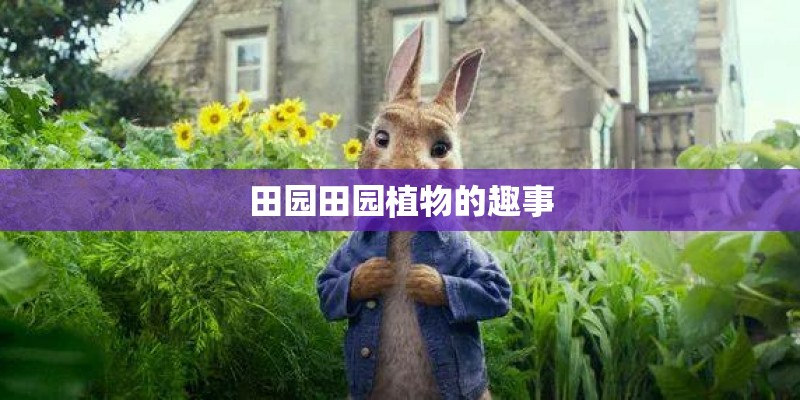 田园田园植物的趣事