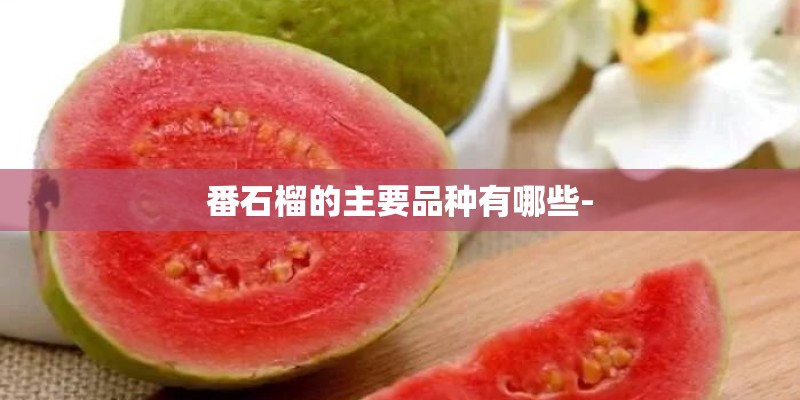 番石榴的主要品种有哪些-