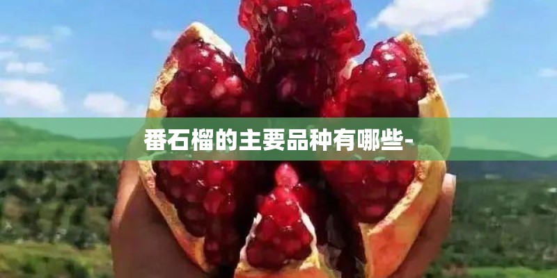 番石榴的主要品种有哪些-