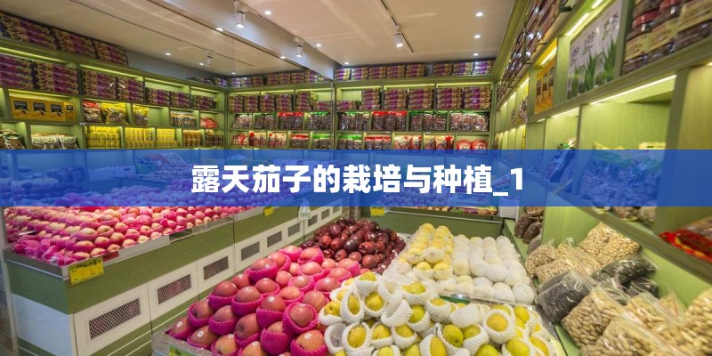 露天茄子的栽培与种植_1