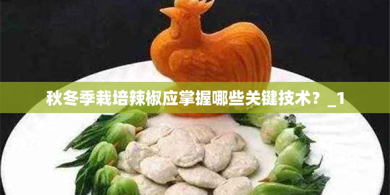 秋冬季栽培辣椒应掌握哪些关键技术？_1