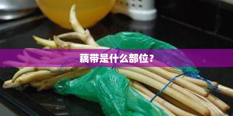 藕带是什么部位？