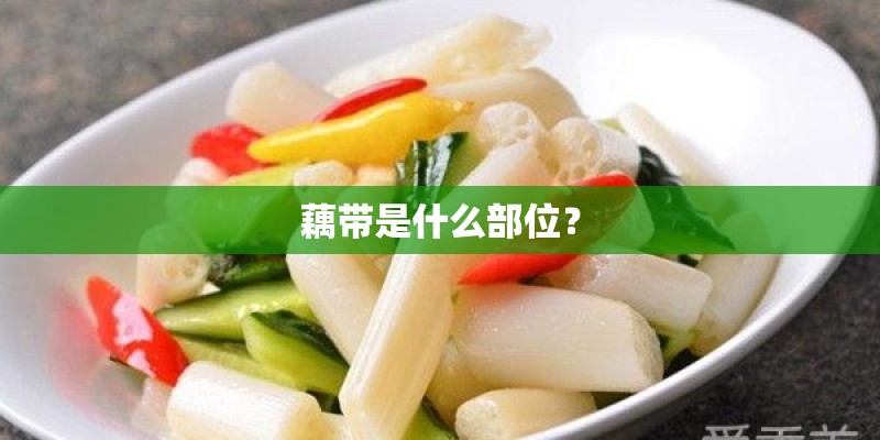藕带是什么部位？