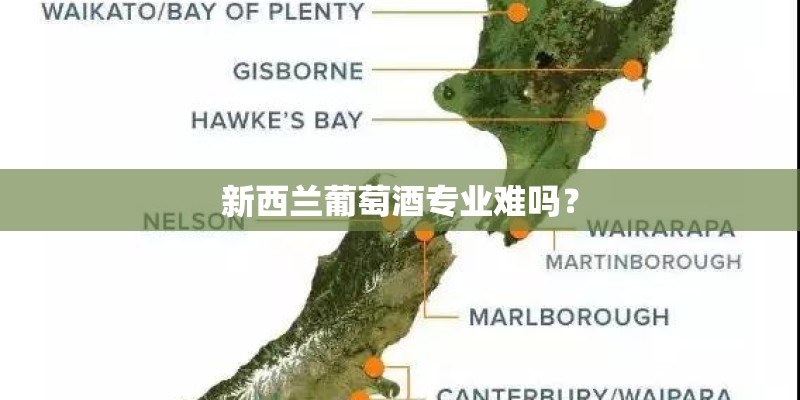 新西兰葡萄酒专业难吗？