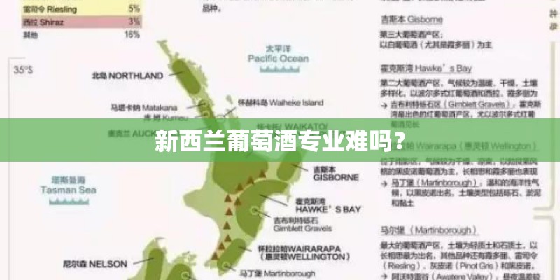 新西兰葡萄酒专业难吗？