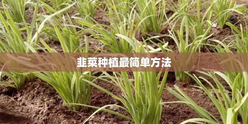 国产汽车（以奇瑞为例）能开几年？