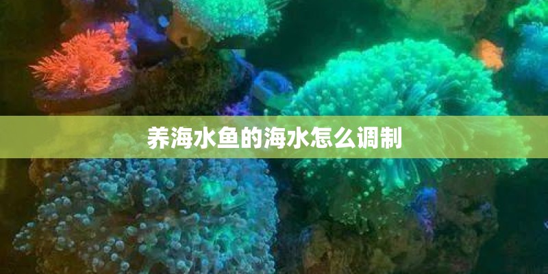 养海水鱼的海水怎么调制