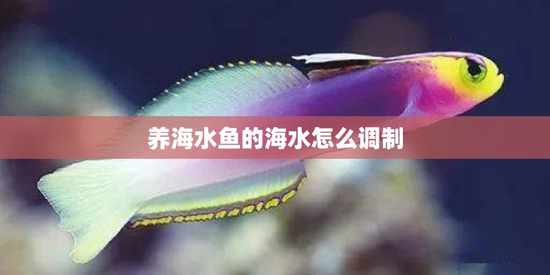 养海水鱼的海水怎么调制