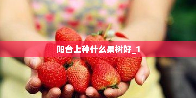 阳台上种什么果树好_1