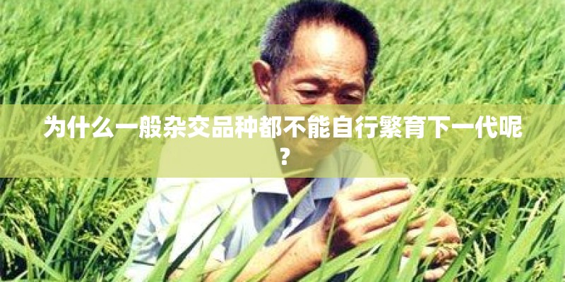 为什么一般杂交品种都不能自行繁育下一代呢？