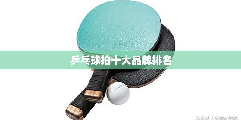 乒乓球拍十大品牌排名