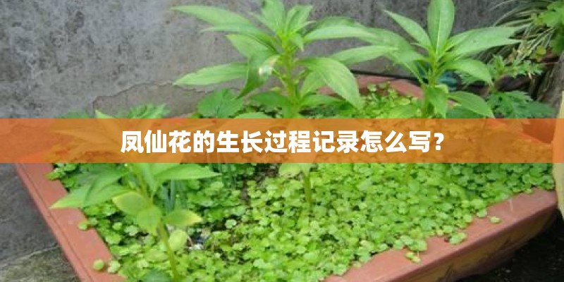 海南主要热带经济作物和热带水果的分布