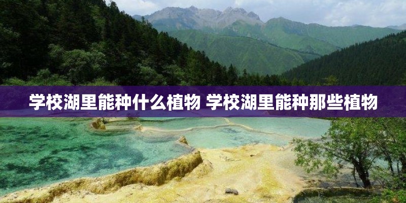 学校湖里能种什么植物 学校湖里能种那些植物