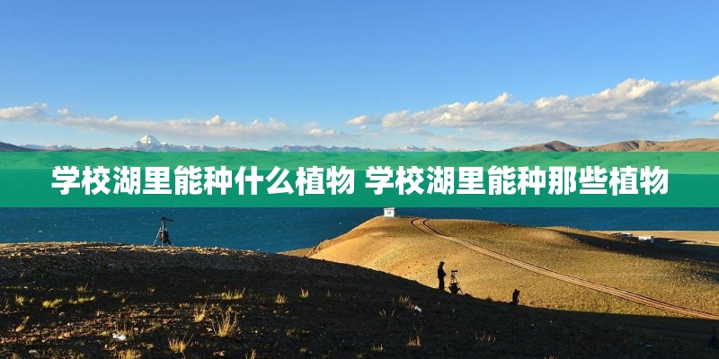 学校湖里能种什么植物 学校湖里能种那些植物