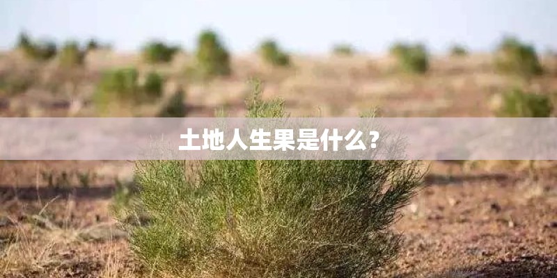 土地人生果是什么？