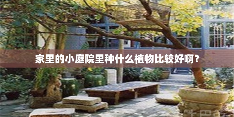 家里的小庭院里种什么植物比较好啊？