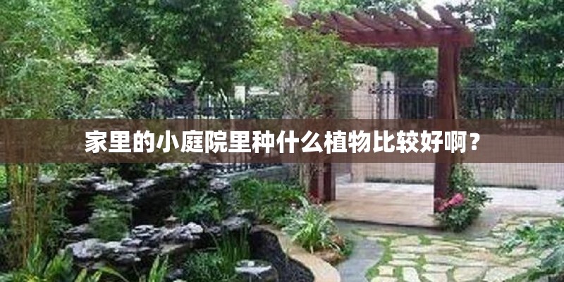 家里的小庭院里种什么植物比较好啊？