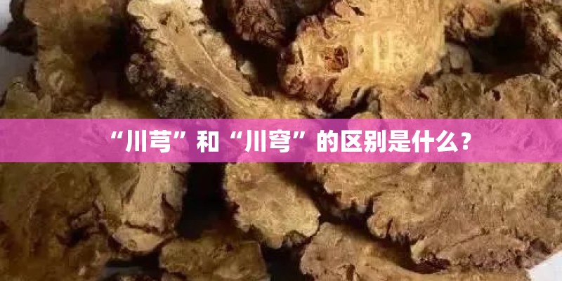 “川芎”和“川穹”的区别是什么？