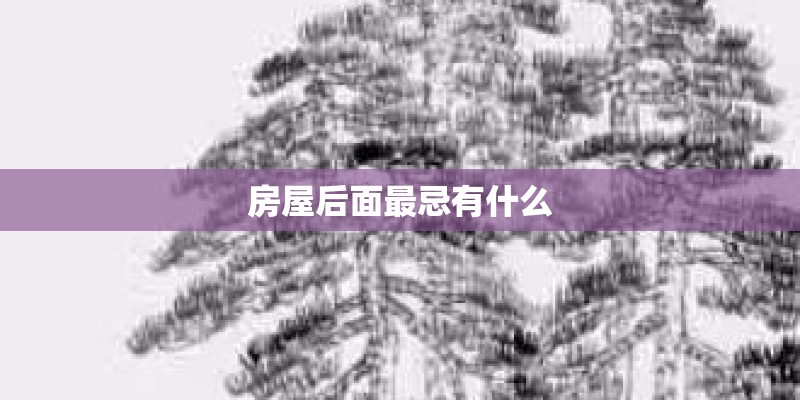 房屋后面最忌有什么
