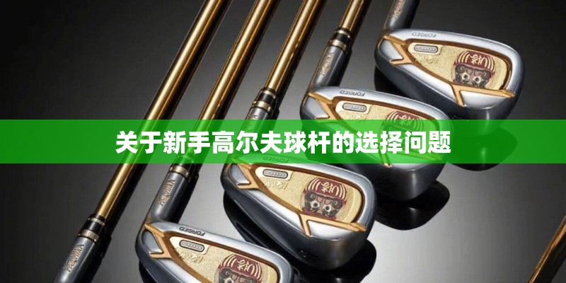 关于新手高尔夫球杆的选择问题