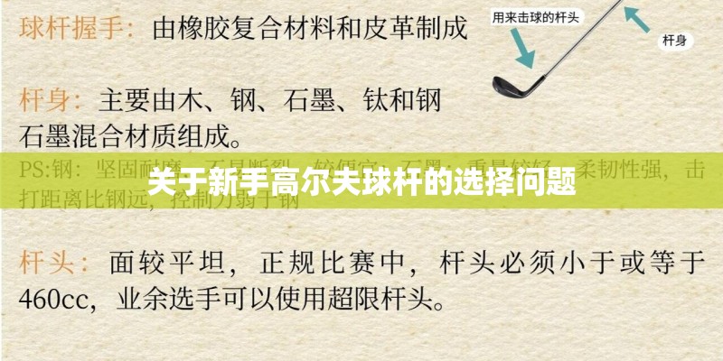 关于新手高尔夫球杆的选择问题