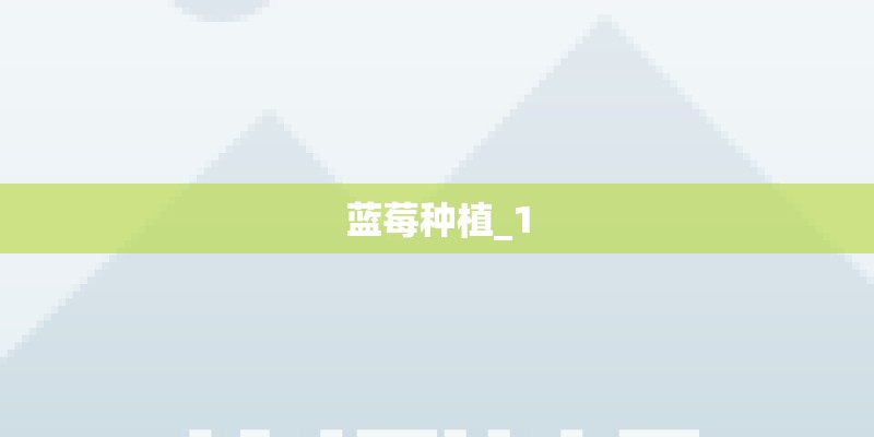 蓝莓种植_1
