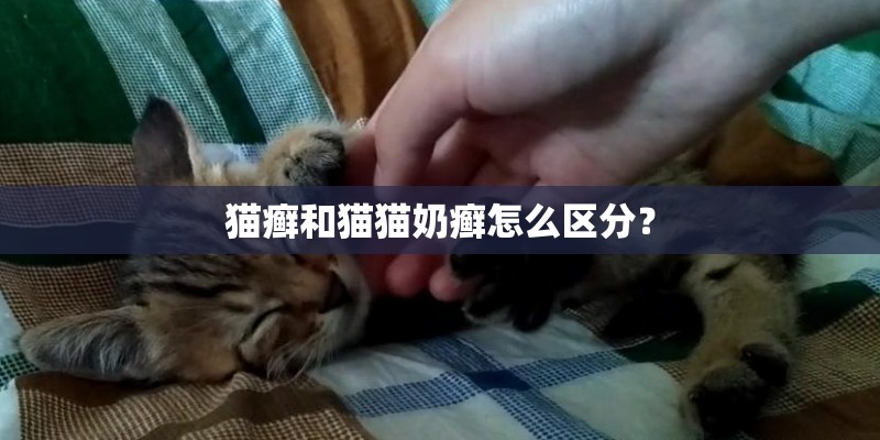 猫癣和猫猫奶癣怎么区分？