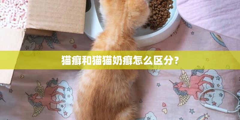 猫癣和猫猫奶癣怎么区分？