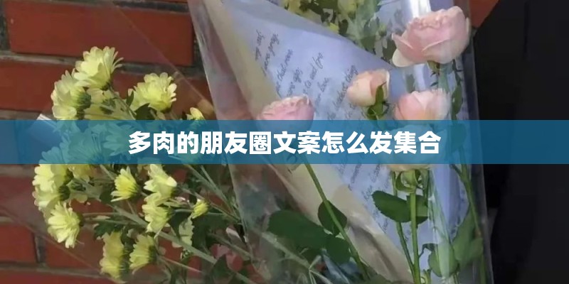 多肉的朋友圈文案怎么发集合