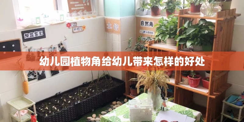 幼儿园植物角给幼儿带来怎样的好处