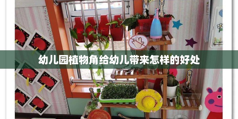 幼儿园植物角给幼儿带来怎样的好处