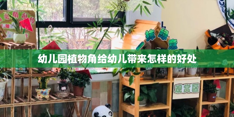 幼儿园植物角给幼儿带来怎样的好处