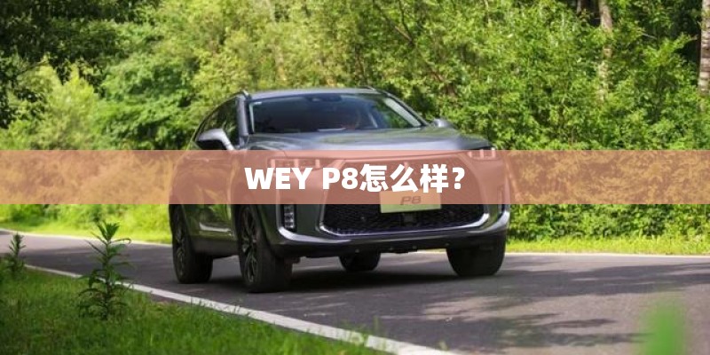 WEY P8怎么样？
