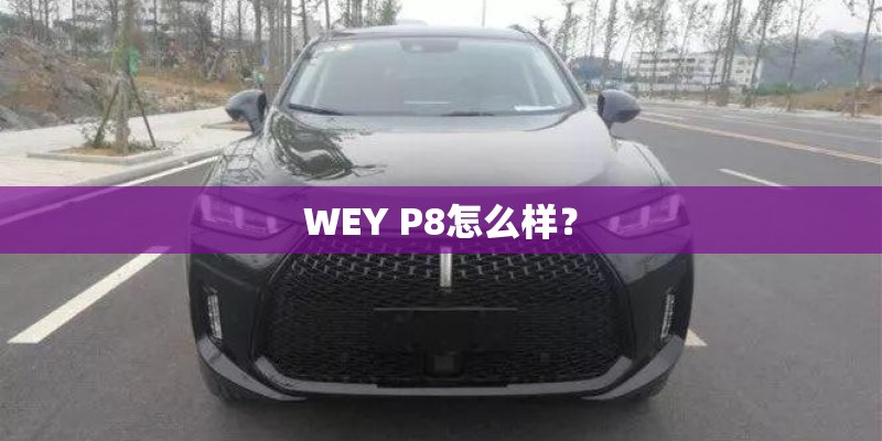 WEY P8怎么样？