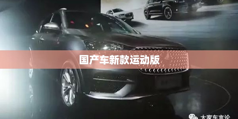国产车新款运动版